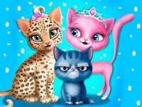 Kitty Care and Style Party