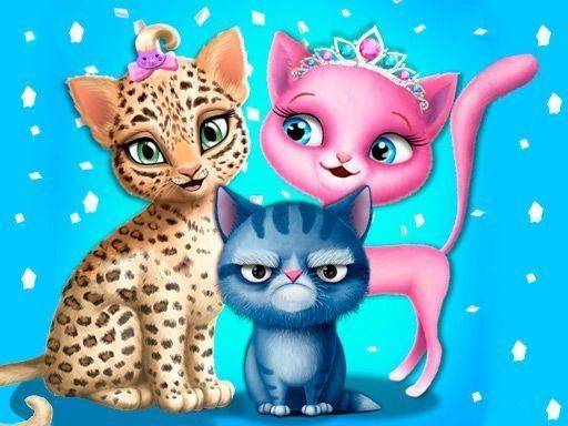 Kitty Care and Style Party