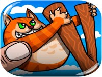 Badger Flying Adventure Arcade