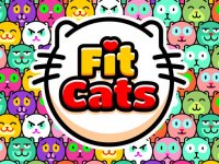 Fit Cats Online Puzzle Game
