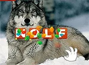 Animal Letter Sorting Game for Young Learners