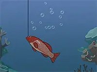 Calm Catch Collector