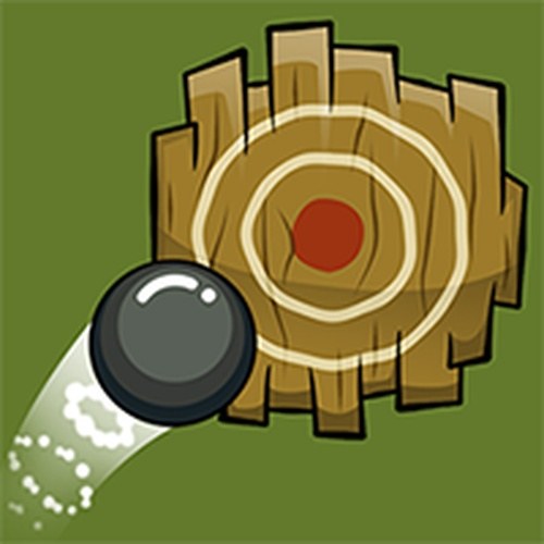 Precision Aim Arcade Game